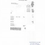 加拿大曼尼托巴出生证英译中翻译公证海牙认证