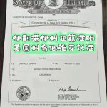 伊利诺伊州华侨退籍证明美国州务卿认证流程