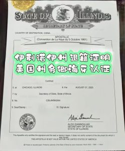 伊利诺伊州华侨退籍证明美国州务卿认证流程