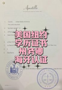 美国纽约学历证书州务卿海牙认证回国求职用