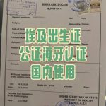 埃及出生证翻译公证海牙认证回国落户上学