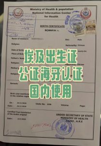 埃及出生证翻译公证海牙认证回国落户上学