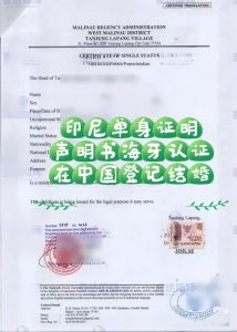 印尼单位证明声明书海牙认证在中国登记结婚