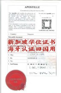 新加坡学位证书海牙认证跨国使用当天完成