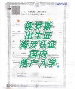俄罗斯出生证海牙认证回国办理落户入学使用