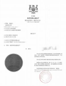 外国政府海牙认证封面外国英文护照翻译盖章