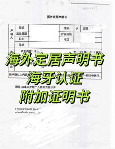 英国定居声明书海牙认证附加证明书