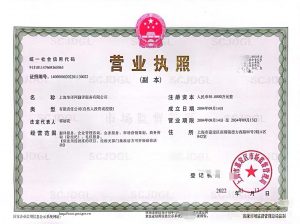 荷兰文件海牙认证内容翻译盖章中国使用
