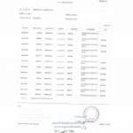 上海市长宁区税务局个人所得税纳税记录翻译公证加拿大报税用