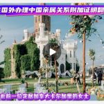 人在国外办理中国亲属关系附加证明翻译